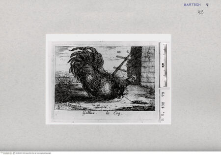 Vorderseite von  [http://creativecommons.org/publicdomain/mark/1.0/] ... - , bh286985. Foto.