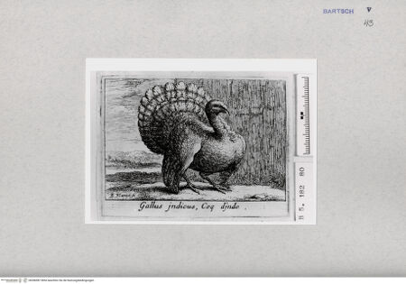 Vorderseite von  [http://creativecommons.org/publicdomain/mark/1.0/] ... - , bh286987. Foto.