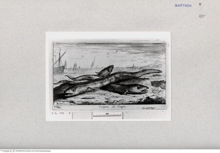 Vorderseite von  [http://creativecommons.org/publicdomain/mark/1.0/] ... - , bh286988. Foto.