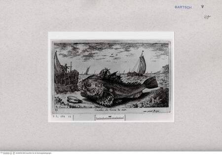 Vorderseite von  [http://creativecommons.org/publicdomain/mark/1.0/] ... - , bh286990. Foto.