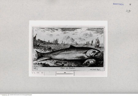 Vorderseite von  [http://creativecommons.org/publicdomain/mark/1.0/] ... - , bh286992. Foto.