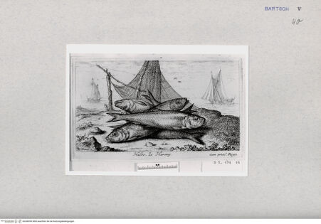 Vorderseite von  [http://creativecommons.org/publicdomain/mark/1.0/] ... - , bh286993. Foto.