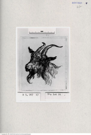 Vorderseite von  [http://creativecommons.org/publicdomain/mark/1.0/] ... - , bh286994. Foto.