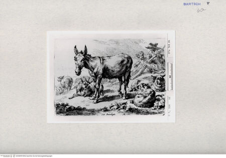 Vorderseite von  [http://creativecommons.org/publicdomain/mark/1.0/] ... - , bh286995. Foto.