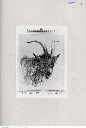 Vorderseite von  [http://creativecommons.org/publicdomain/mark/1.0/] ... - , bh286996. Foto.