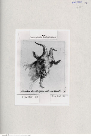 Vorderseite von  [http://creativecommons.org/publicdomain/mark/1.0/] ... - , bh286997. Foto.