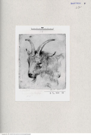 Vorderseite von  [http://creativecommons.org/publicdomain/mark/1.0/] ... - , bh286999. Foto.