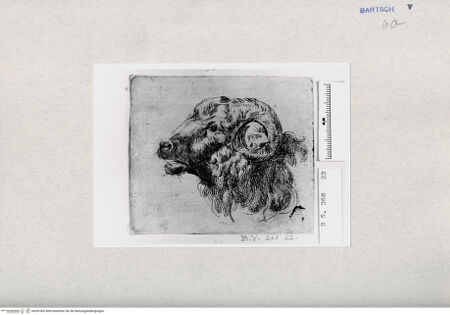 Vorderseite von  [http://creativecommons.org/publicdomain/mark/1.0/] ... - , bh287000. Foto.