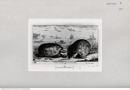 Vorderseite von  [http://creativecommons.org/publicdomain/mark/1.0/] ... - , bh287002. Foto.