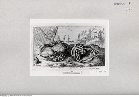 Vorderseite von  [http://creativecommons.org/publicdomain/mark/1.0/] ... - , bh287003. Foto.