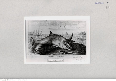 Vorderseite von  [http://creativecommons.org/publicdomain/mark/1.0/] ... - , bh287004. Foto.