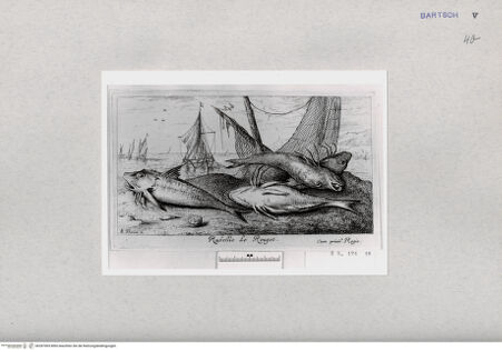 Vorderseite von  [http://creativecommons.org/publicdomain/mark/1.0/] ... - , bh287005. Foto.