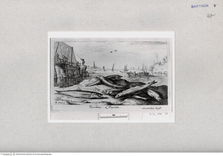 Vorderseite von  [http://creativecommons.org/publicdomain/mark/1.0/] ... - , bh287006. Foto.