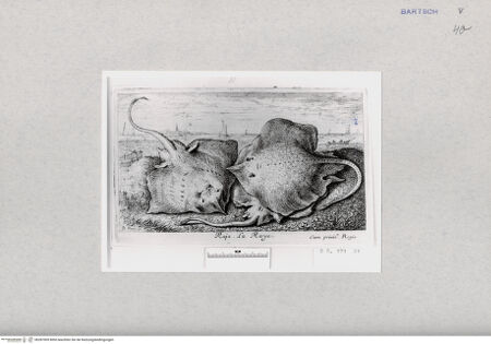 Vorderseite von  [http://creativecommons.org/publicdomain/mark/1.0/] ... - , bh287009. Foto.