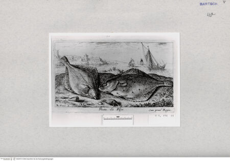 Vorderseite von  [http://creativecommons.org/publicdomain/mark/1.0/] ... - , bh287013. Foto.