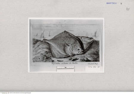 Vorderseite von  [http://creativecommons.org/publicdomain/mark/1.0/] ... - , bh287015. Foto.