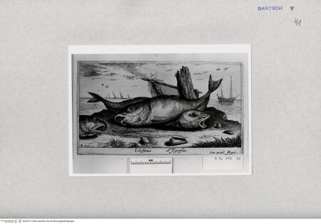 Vorderseite von  [http://creativecommons.org/publicdomain/mark/1.0/] ... - , bh287017. Foto.