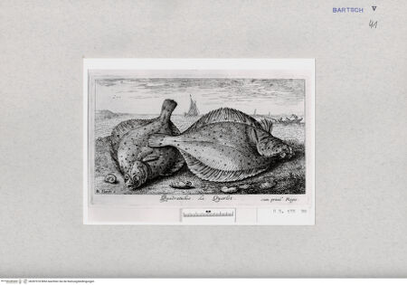 Vorderseite von  [http://creativecommons.org/publicdomain/mark/1.0/] ... - , bh287018. Foto.