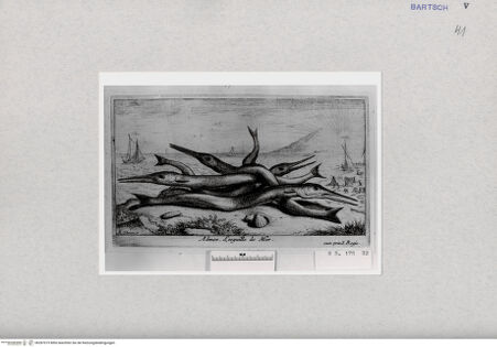 Vorderseite von  [http://creativecommons.org/publicdomain/mark/1.0/] ... - , bh287019. Foto.