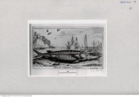 Vorderseite von  [http://creativecommons.org/publicdomain/mark/1.0/] ... - , bh287021. Foto.