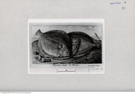 Vorderseite von  [http://creativecommons.org/publicdomain/mark/1.0/] ... - , bh287022. Foto.