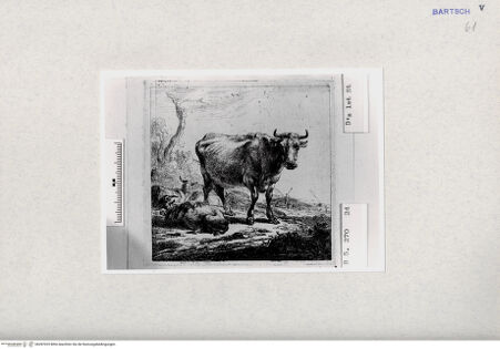 Vorderseite von  [http://creativecommons.org/publicdomain/mark/1.0/] ... - , bh287025. Foto.