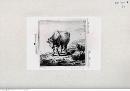 Vorderseite von  [http://creativecommons.org/publicdomain/mark/1.0/] ... - , bh287029. Foto.