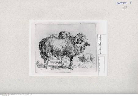 Vorderseite von  [http://creativecommons.org/publicdomain/mark/1.0/] ... - , bh287033. Foto.