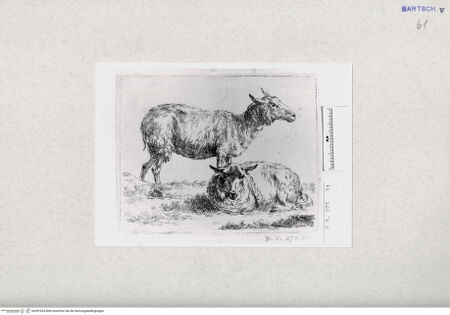 Vorderseite von  [http://creativecommons.org/publicdomain/mark/1.0/] ... - , bh287034. Foto.