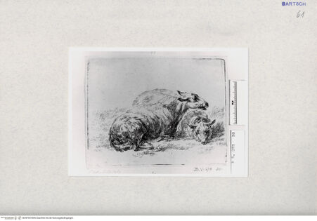 Vorderseite von  [http://creativecommons.org/publicdomain/mark/1.0/] ... - , bh287035. Foto.