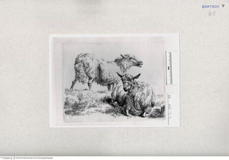 Vorderseite von  [http://creativecommons.org/publicdomain/mark/1.0/] ... - , bh287036. Foto.