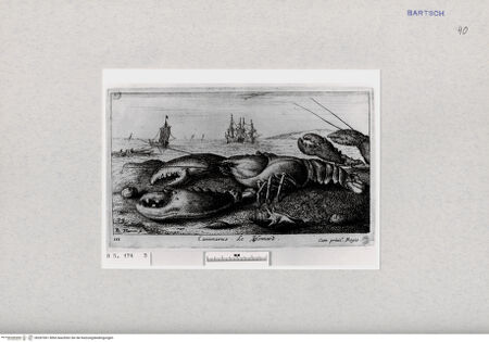 Vorderseite von  [http://creativecommons.org/publicdomain/mark/1.0/] ... - , bh287061. Foto.