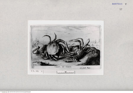 Vorderseite von  [http://creativecommons.org/publicdomain/mark/1.0/] ... - , bh287062. Foto.