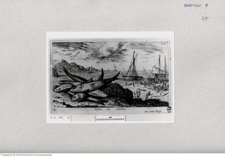 Vorderseite von  [http://creativecommons.org/publicdomain/mark/1.0/] ... - , bh287064. Foto.