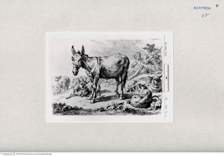 Vorderseite von  [http://creativecommons.org/publicdomain/mark/1.0/] ... - , bh287094. Foto.