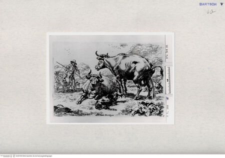 Vorderseite von  [http://creativecommons.org/publicdomain/mark/1.0/] ... - , bh287095. Foto.