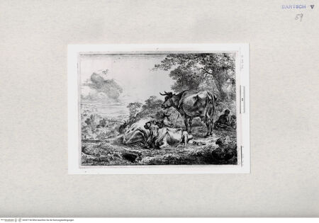 Vorderseite von  [http://creativecommons.org/publicdomain/mark/1.0/] ... - , bh287196. Foto.