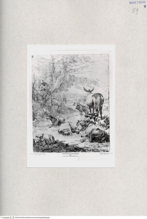 Vorderseite von  [http://creativecommons.org/publicdomain/mark/1.0/] ... - , bh287204. Foto.