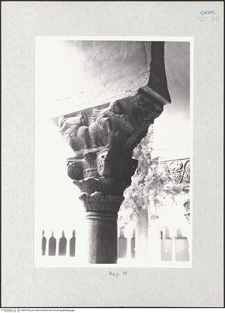 Vorderseite von Glass, Dorothy [https://www.deutsche-digitale-bibliothek.de/content/lizenzen/rv-ez/] Kapitell 11 (Giess, 1959; Naldi, 1990) - Kapitell 11, bh287269_recto. Foto: Glass, Dorothy.