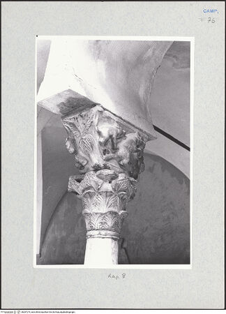 Vorderseite von Glass, Dorothy [https://www.deutsche-digitale-bibliothek.de/content/lizenzen/rv-ez/] Kapitell 08 (Giess, 1959; Naldi, 1990) - Kapitell 8, bh287274_recto. Foto: Glass, Dorothy.