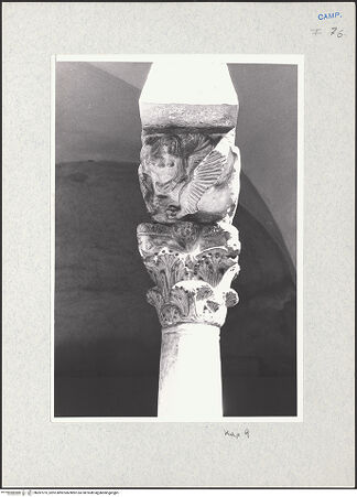 Vorderseite von Glass, Dorothy [https://www.deutsche-digitale-bibliothek.de/content/lizenzen/rv-ez/] Kapitell 09 (Giess, 1959; Naldi, 1990) - Kapitell 9, bh287275_recto. Foto: Glass, Dorothy.