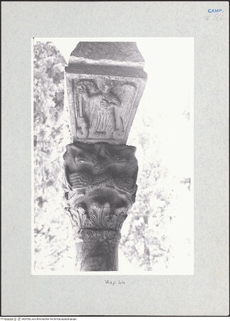 Vorderseite von Glass, Dorothy [https://www.deutsche-digitale-bibliothek.de/content/lizenzen/rv-ez/] Kapitell 44 (Giess, 1959; Naldi, 1990) - Kapitell 44, bh287282_recto. Foto: Glass, Dorothy.