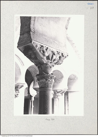 Vorderseite von Glass, Dorothy [https://www.deutsche-digitale-bibliothek.de/content/lizenzen/rv-ez/] Kapitell 20 (Giess, 1959; Naldi, 1990) - Kapitell 20, bh287286_recto. Foto: Glass, Dorothy.