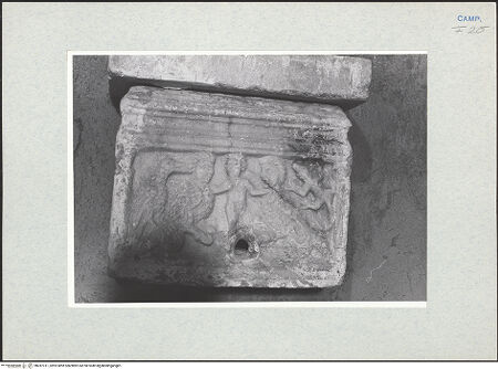 Vorderseite von Glass, Dorothy [https://www.deutsche-digitale-bibliothek.de/content/lizenzen/rv-ez/] Urne mit Harpyien - Frontalansicht, bh287311_recto. Foto: Glass, Dorothy.