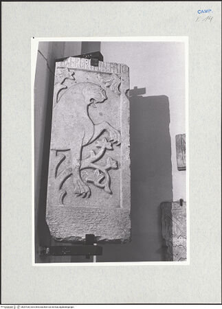 Vorderseite von Glass, Dorothy [https://www.deutsche-digitale-bibliothek.de/content/lizenzen/rv-ez/] Löwin - Gesamtansicht, bh287330_recto. Foto: Glass, Dorothy.