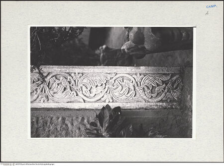 Vorderseite von Glass, Dorothy [https://www.deutsche-digitale-bibliothek.de/content/lizenzen/rv-ez/] Pilaster - Detail, bh287333_recto. Foto: Glass, Dorothy.