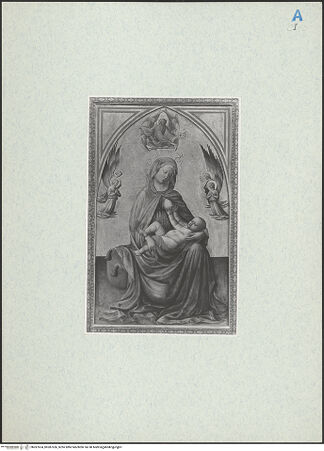 Vorderseite von bh287624_bh287626_recto