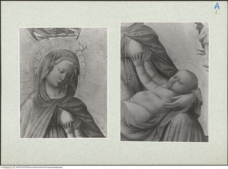 Vorderseite von bh287627_bh287628_recto