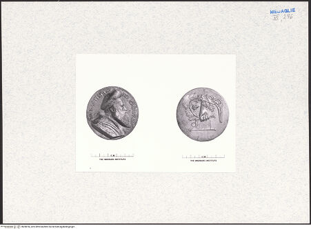 Vorderseite von bh288186_recto