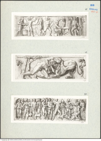 Vorderseite von bh288264_bh288265_bh288266_recto